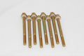Advanced Engine Design AED5200 4150 Fuel Bowl Screws Set of 8 with Hex Heads and Steel Construction