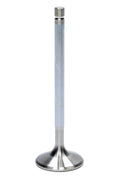 Air Flow Research SBF 7248-1 Exhaust Valve for Small Block Ford, 1.570 Inch Head Diameter, 8 mm Valve Stem, 5.030 Inch Overall Length