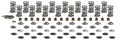 Brian Tooley Racing GEN V LT4 Platinum Dual Spring Kit with 0.66 Inch Lift