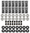 Brian Tooley Racing SK001/S/0560/BB Platinum Dual Spring LS Valve Spring Kit with Steel Retainers