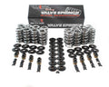 Brian Tooley Racing SK001/S/0545/BB Platinum LS Dual Springs with 1.070 Inch Coil Bind and 380 lb/in Spring Rate