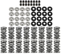 Brian Tooley Racing SK001/T/0560/BB Platinum Dual Spring LS Valve Spring Kit with Titanium Retainers