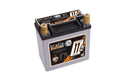 Braille Auto Battery B14115 Racing Battery 12V AGM with 904 Pulse Cranking Amps and Threaded Terminals