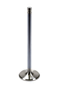 Brodix BR 81645 Exhaust Valve for Pontiac Iron Duke, 1.900 Inch Head Diameter, 0.3415 Inch Valve Stem Diameter, 6.450 Inch Length, Stainless Steel