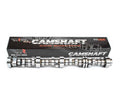 Brian Tooley Racing BTR-2240310125R0 Gen V L83 Stage 1 Hydraulic Roller Camshaft