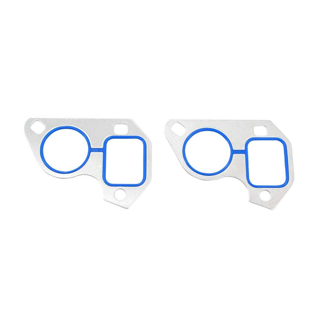 Brian Tooley Racing BTR-30223-2 LS Water Pump Gasket Pair