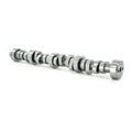 Brian Tooley Racing BTR-GZ231 Ford 7.3L U-231 Hydraulic Roller Camshaft with 0.663 Inch Lift and 231 Intake Duration