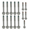 Brian Tooley Racing BTR00568 LS Head Bolt Kit for GM LS-Series Engines, Hex Head, Steel Zinc Coated