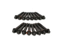 Brian Tooley Racing BTR60961-16 Rocker Arm Bolts for GM LS-Series Engines, 8mm x 1.25 Thread, 2.5 Inches Length, Steel, Black Oxide, Set of 16