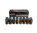 Brian Tooley Racing BTR91120-16 Gen 5 Beehive Valve Springs for 0.550 Lift, Set of 16