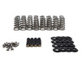 Brian Tooley Racing SK013 LT1/L86 Conical Spring Kit with 0.65 Inch Lift
