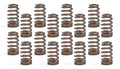 Brian Tooley Racing SP021-16 Mopar Truck Spring Kit with 0.65 Inch Lift