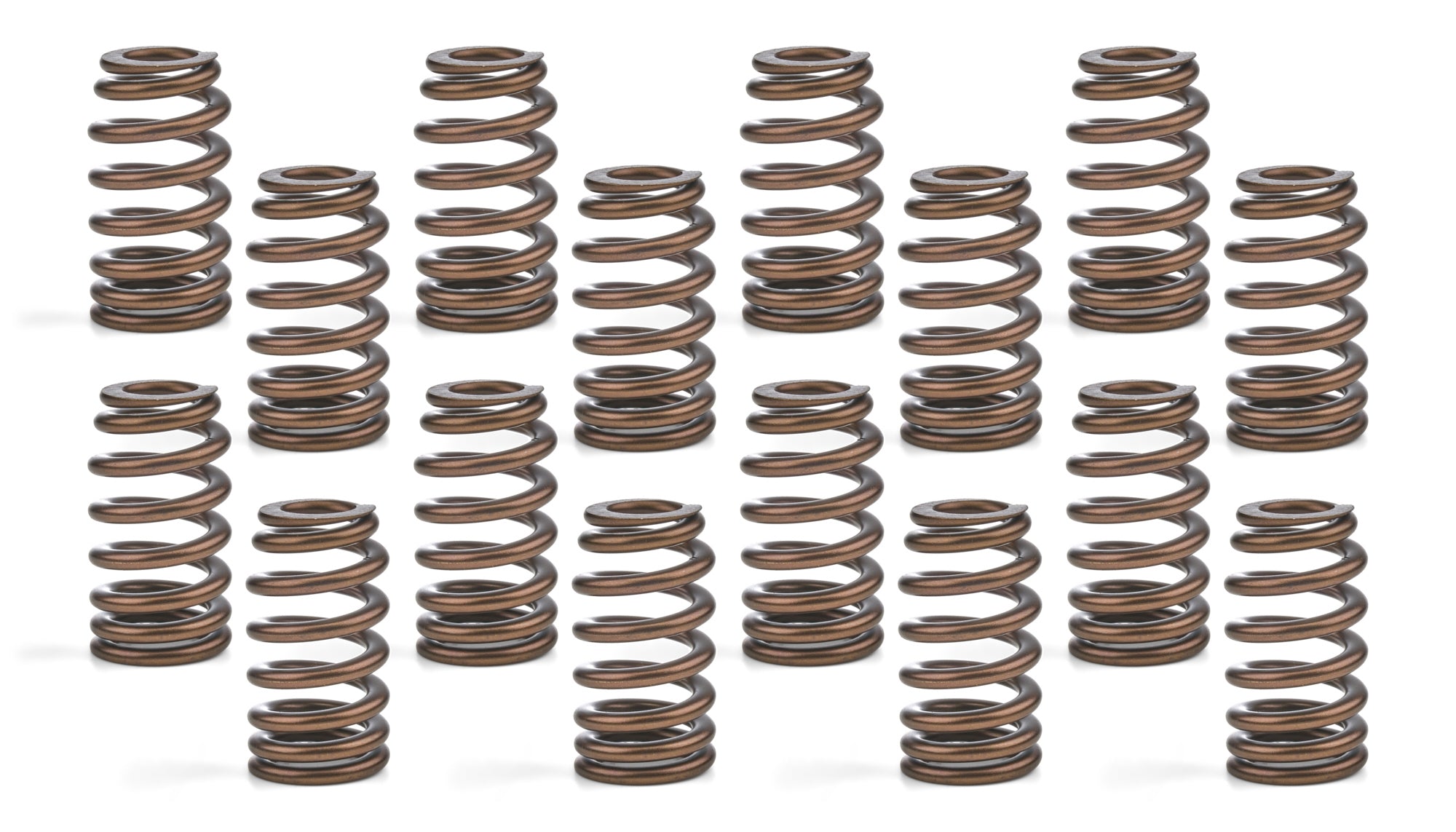 Brian Tooley Racing SP021-16 Mopar Truck Spring Kit with 0.65 Inch Lift