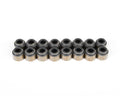 Brian Tooley Racing VS LS Valve Seal Kit with Viton Seals, 0.313 Inch Valve Stem, 0.546 Inch OD, Set of 16