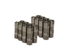 Brian Tooley Racing X12499225-16 Delphi LS7 Hydraulic Roller Lifters Set of 16