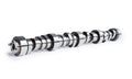 CAM Motion Inc LS Hyd Roller Camshaft 03-01-0067 with Hydraulic Roller Lifter, 0.621 / 0.604 Inch Lift, 285 Duration, 115 LSA, Suitable for GM LS-Series Engines