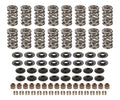 CAM Motion Inc VSK142803 LS Dual Valve Spring Kit for Up to 0.660 Inch Lift
