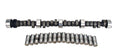 Comp Cams CL11-205-3 Big Block Chevy Hydraulic Flat Tappet Camshaft and Lifter Kit, 0.485 Inch Lift, 268 Duration, 110 LSA, 1500-5500 RPM