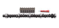Edelbrock 2157 Performer-Plus Hydraulic Flat Tappet Camshaft and Lifter Kit for Pontiac V8 Engines