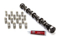 Edelbrock 3712 Olds Camshaft and Lifter Kit with Hydraulic Flat Tappet, 0.449-0.473 Inch Lift, 280-290 Duration, 114 LSA for Oldsmobile V8 Engines