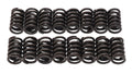 Edelbrock EDELBROCK 5824 Valve Springs Set of 16 for E-Street Heads, 1.150 Inch Coil Bind, 364 lb/in Spring Rate