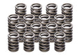 Edelbrock 5862 Sure Seat Valve Springs for Big Block Chevy, 1.500 Inch Outer Diameter, 309 lb/in Spring Rate, Set of 16