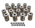 Edelbrock 5895 Valve Spring Kit for Big Block Chevy with 1.500 Inch Diameter and 309 lb/in Spring Rate