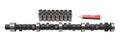Edelbrock 7157 Performer RPM Hydraulic Flat Tappet Camshaft and Lifter Kit for Pontiac V8 Engines