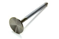 Edelbrock 9367 Performer RPM Exhaust Valve for Small Block Mopar with 1.600 Inch Head Diameter and 11/32 Inch Valve Stem