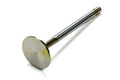 Edelbrock 9762 Exhaust Valve for Small Block Ford 5.0 & 5.8L Engines, 1.600 Inch Head Diameter, 11/32 Inch Valve Stem, Stainless Steel
