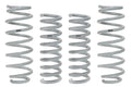 Eibach E32-27-004-02-22 Drag Launch Coil Spring Kit for Dodge Challenger and Charger, Front and Rear, Steel, Silver Powder Coat