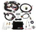 Holley 550-604 Engine Control Module and Wiring Harness Kit for V8 Multi-Port Fuel Injection