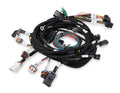 Holley 558-108 Main Wiring Harness for Ford Modular Engines 1999-2004