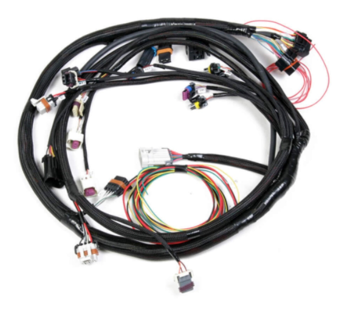 Holley Engine Main Wiring Harness for Small Block Ford 5.0L and 5.8L Engines