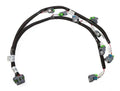 Holley 558-210 Fuel Injector Harness for V8 Engines, USCAR EV6 / Bosch Jetronic Compatibility
