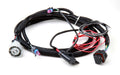Holley 558-405 Transmission Wiring Harness for GM 4L60E and 4L80E with Holley Dominator EFI