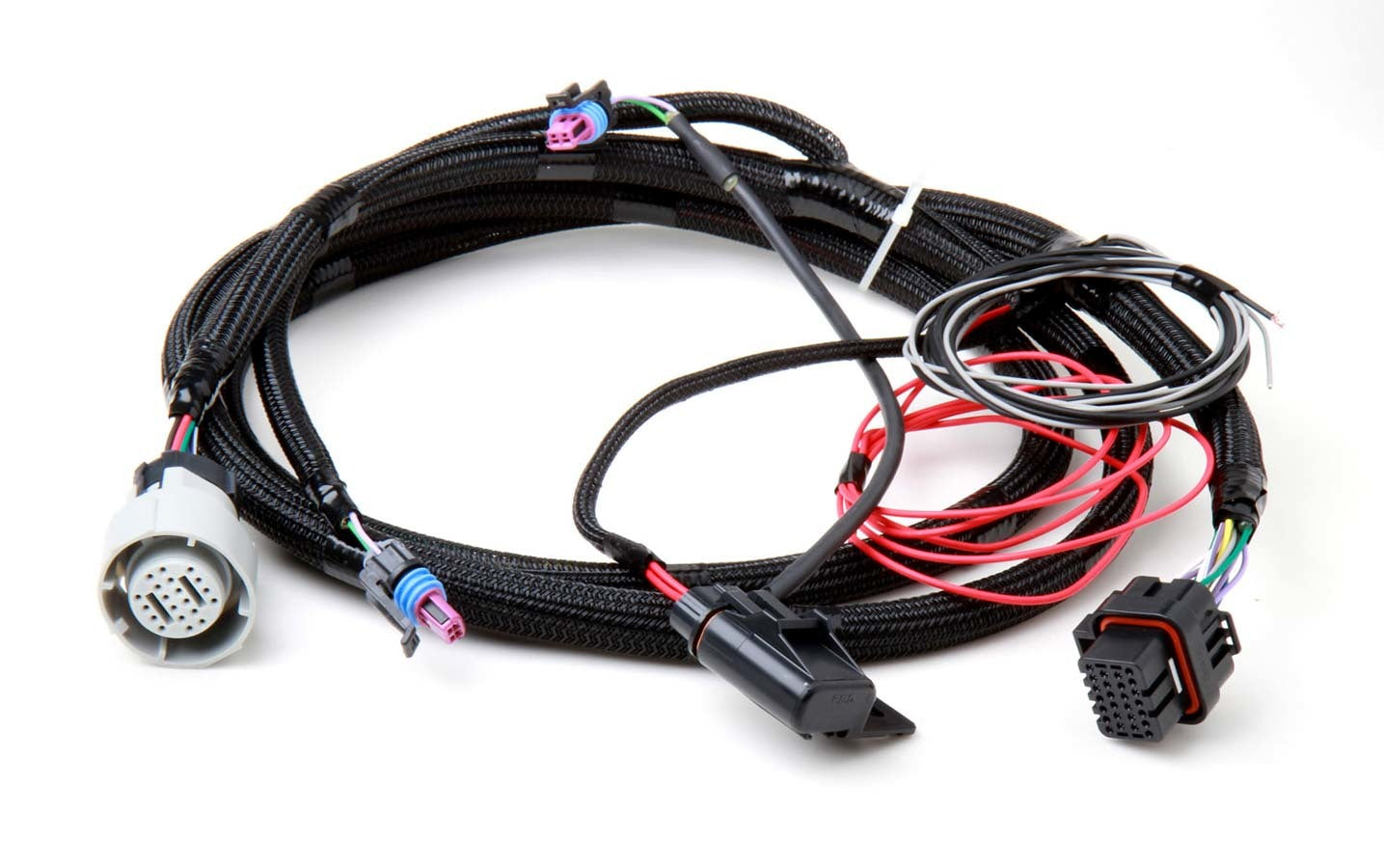 Holley 558-405 Transmission Wiring Harness for GM 4L60E and 4L80E with Holley Dominator EFI