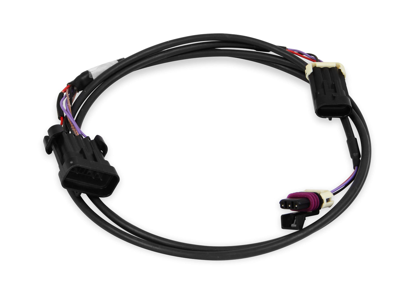 Holley 558-431 Crank and Cam Ignition Wiring Harness for Holley HP and Dominator EFI Systems