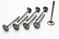 MANLEY SBC SD 2.080 Intake Valves with 5/16 Inch Stem and 5.010 Inch Length for Small Block Chevy