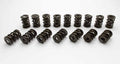 Manley 221456-16 NexTek Dual Valve Springs 1.500 Inch OD, 800 lb/in Spring Rate