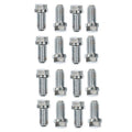 MR. GASKET 2211G Header Bolt Kit, 3/8-16 Thread, 3/4 Inch Length, Stainless Steel, Hex Head, Compatible with Big Block Chevy and Small Block Ford Engines