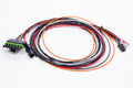 MSD Ignition ASY17296 Wiring Harness for MSD 6ALN Ignition Systems