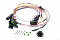 Quickcar Racing Products QRP50-2053 Wiring Harness for Asphalt Late Model Ignition Systems