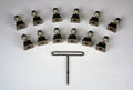 Wilwood 230-6656 Brake Rotor Bolt Kit with 1/4-28 UNF Thread and 12 Points, Stainless Steel, Natural Finish