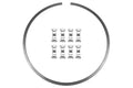 Wilwood 300-12561 Steel Retaining Ring Kit with Control Clips, 7.18 Inch Diameter